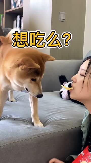 娱乐吃瓜汪星人是谁的小说